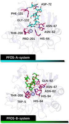 Identification of the inhibition mechanism of carbonic anhydrase II by fructooligosaccharides